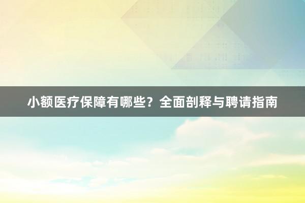 小额医疗保障有哪些？全面剖释与聘请指南