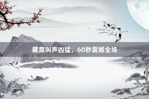 藏獒叫声凶猛，60秒震撼全场